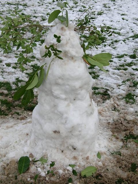 Snow Man Competition