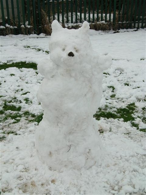 Snow Bear Competition